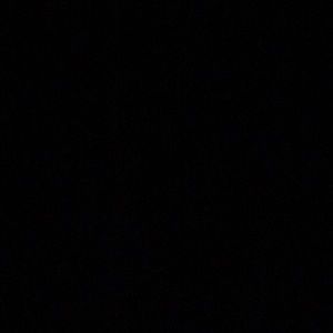 Meet your Posher, Rose